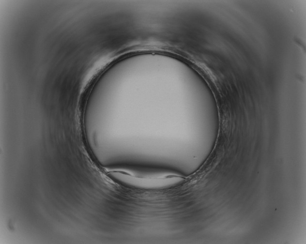 X0000097751464200804041052