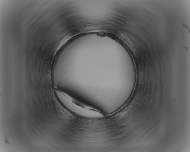 X0000097751465200804041052