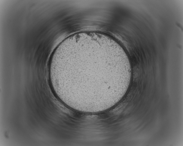 X0000097751467200804041052