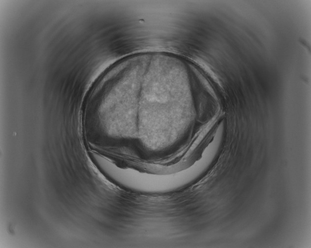 X0000097751468200804041052