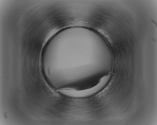 X0000097751469200804041052