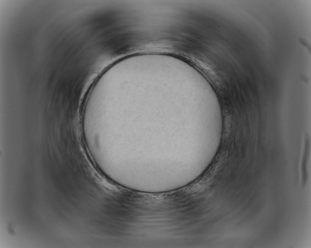 X0000097751470200804041052