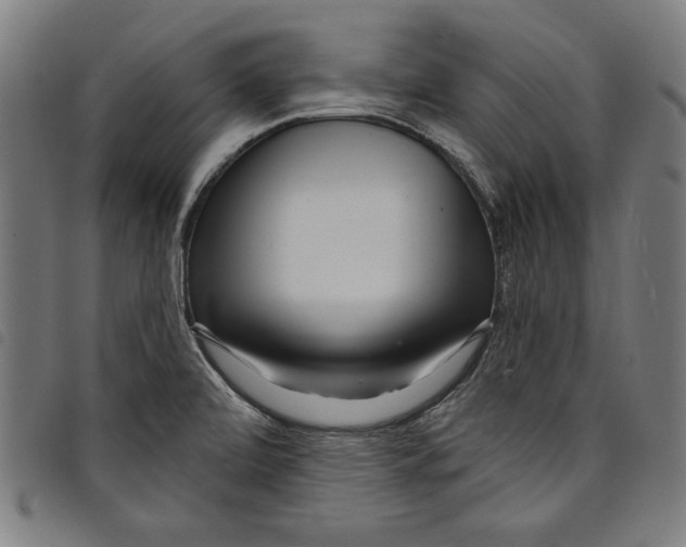 X0000097751472200804041052