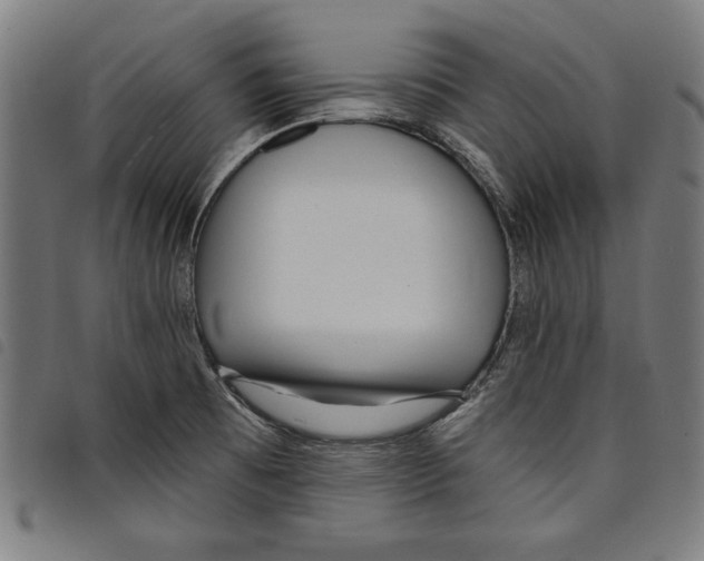 X0000097751473200804041052