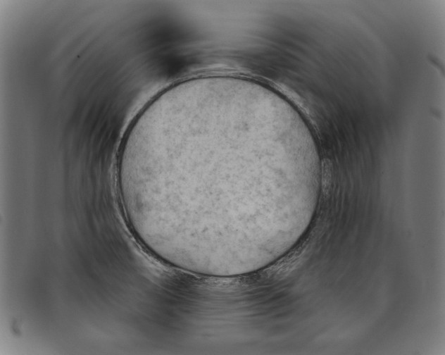 X0000097751474200804041052