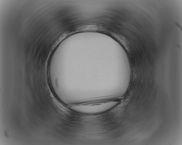 X0000097751475200804041052