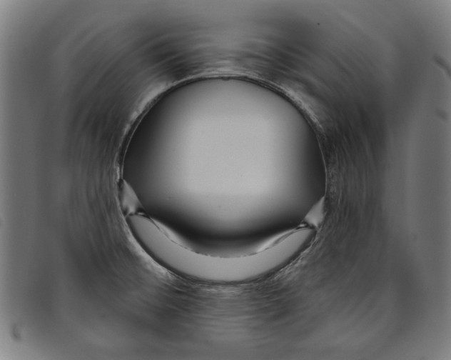 X0000097751476200804041052