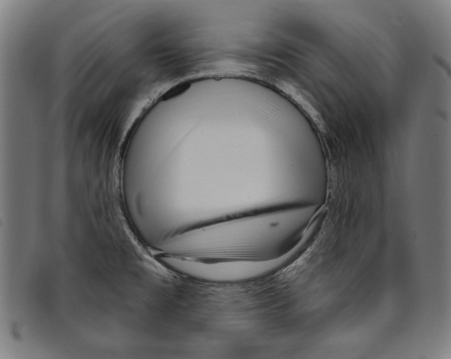 X0000097751477200804041052