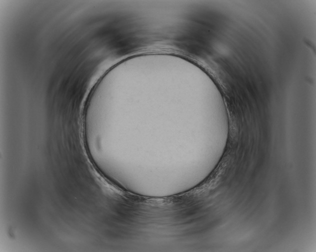 X0000097751478200804041052