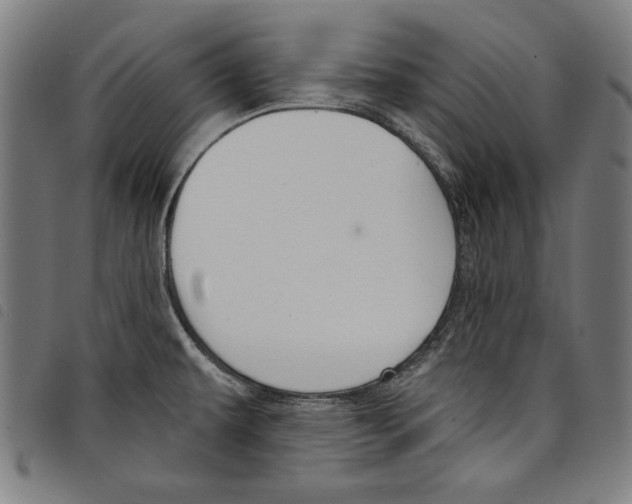 X0000097751479200804041052