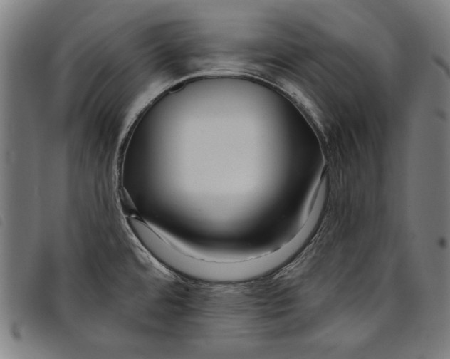 X0000097751480200804041052