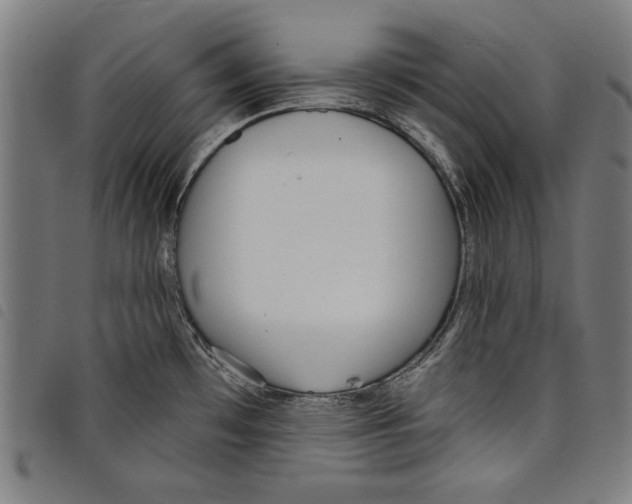 X0000097751481200804041052