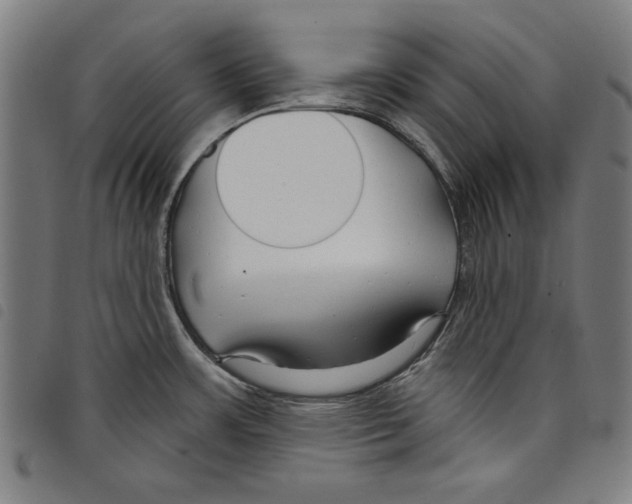 X0000097751483200804041052