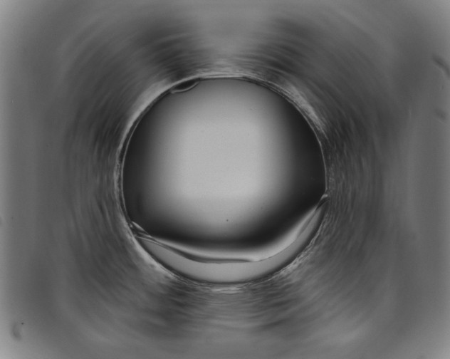 X0000097751484200804041052