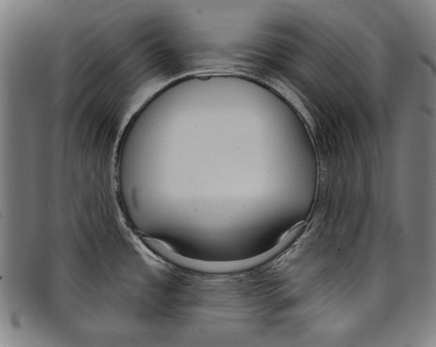 X0000097751485200804041051