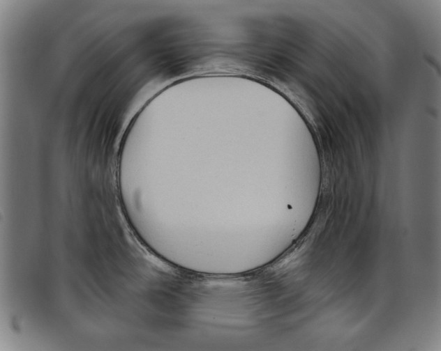 X0000097751486200804041051