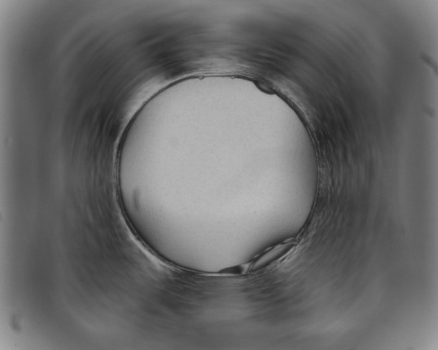 X0000097751487200804041051