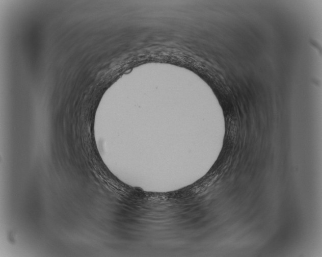 X0000097751489200804041051