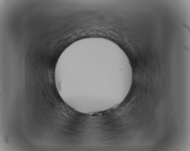 X0000097751490200804041051