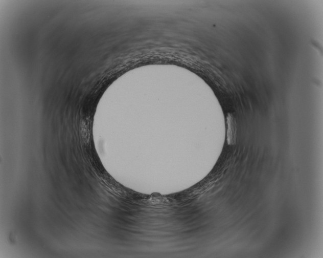 X0000097751491200804041051