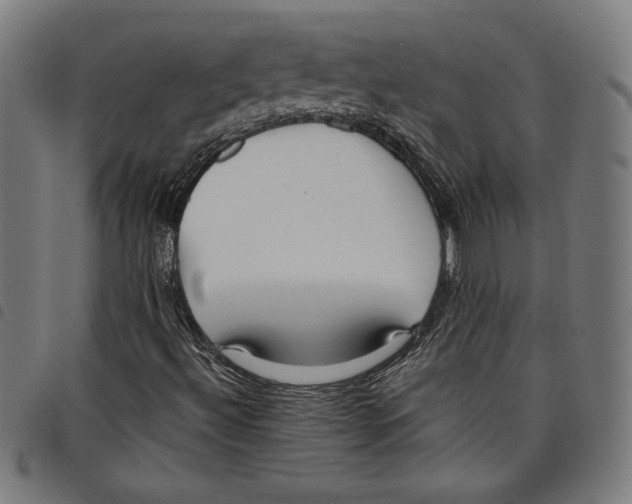 X0000097751492200804041051