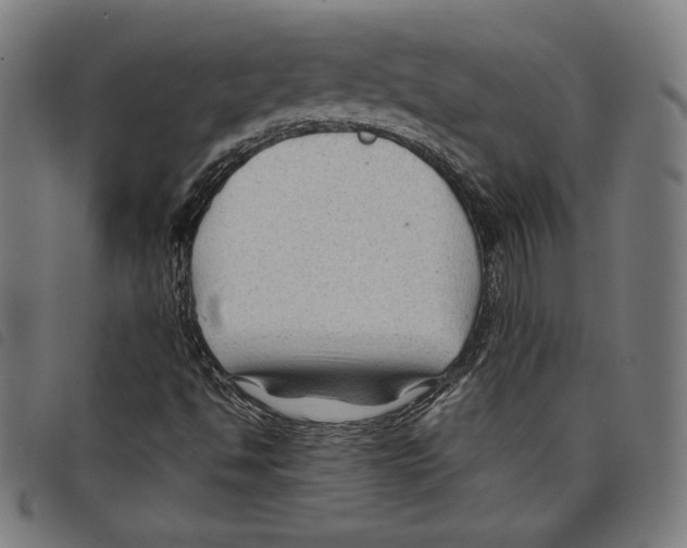 X0000097751494200804041051