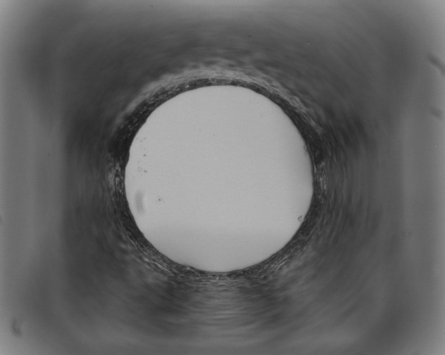 X0000097751495200804041051