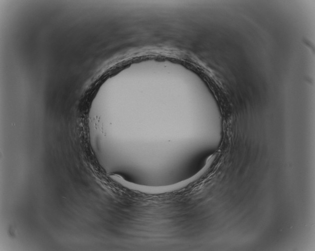 X0000097751496200804041051