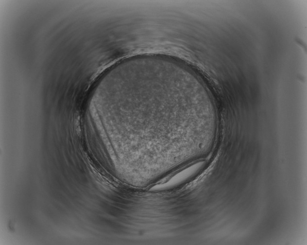 X0000097751497200804041051