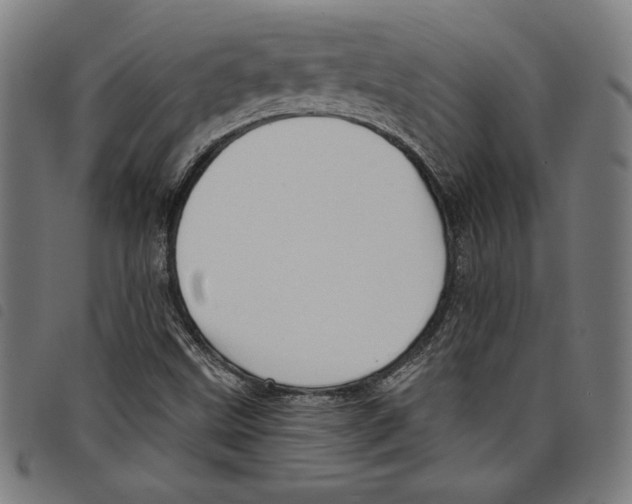 X0000097751499200804041051