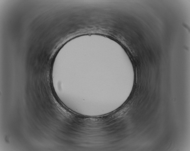 X0000097751500200804041051