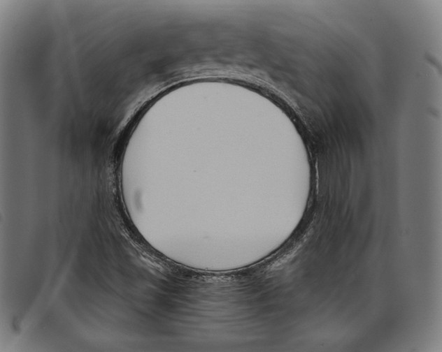 X0000097751501200804041051