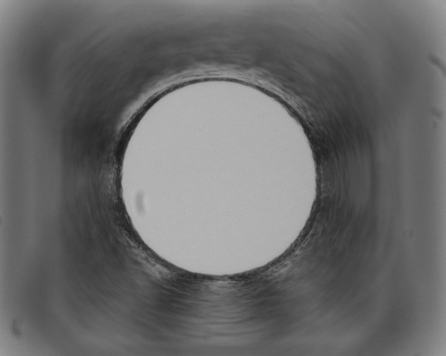 X0000097751502200804041051