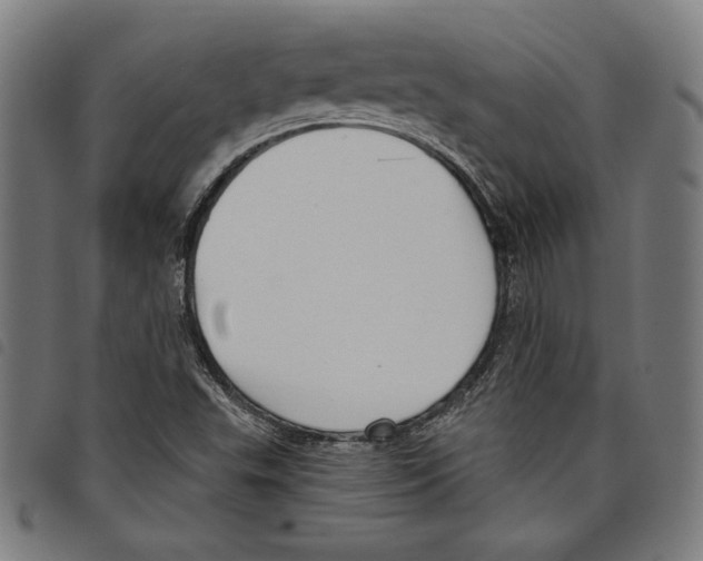 X0000097751503200804041051