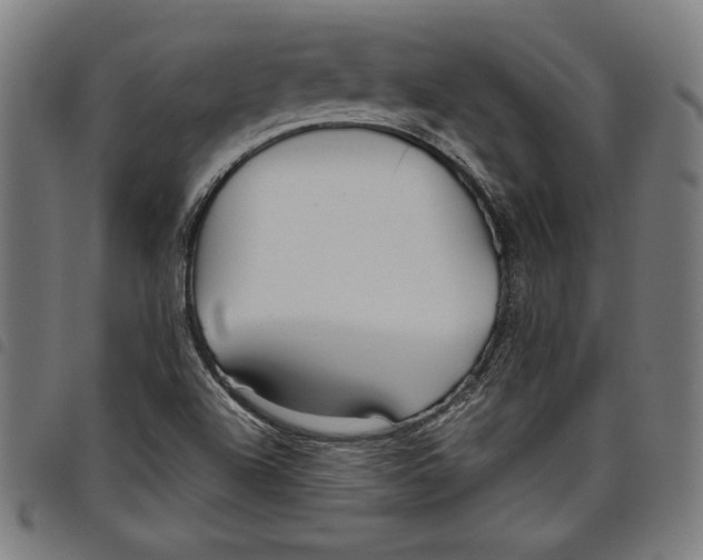 X0000097751504200804041051