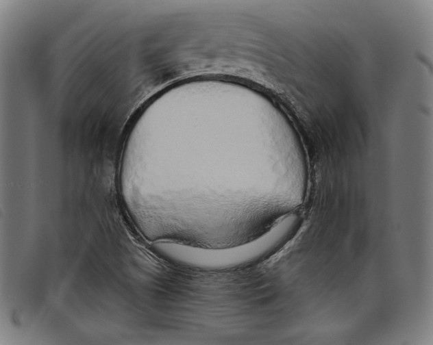 X0000097751505200804041051