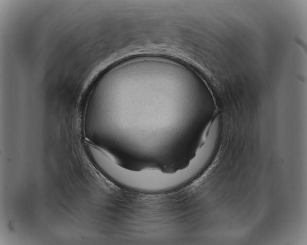 X0000097751506200804041051