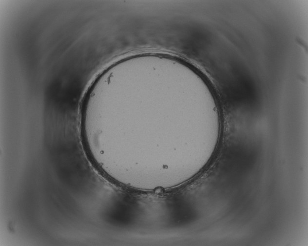 X0000097751508200804041051