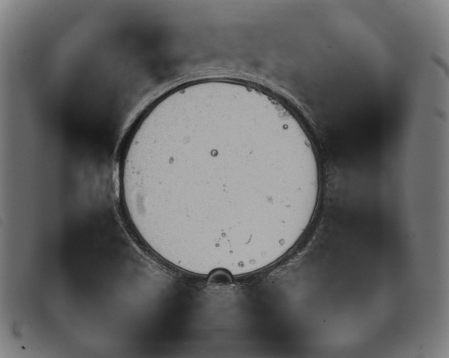 X0000097751509200804041051