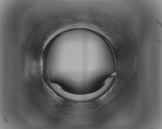 X0000097751510200804041051