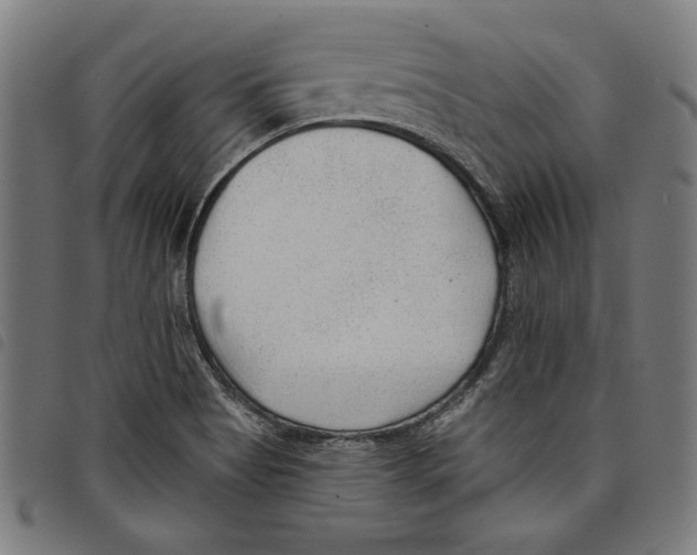 X0000097751513200804041051