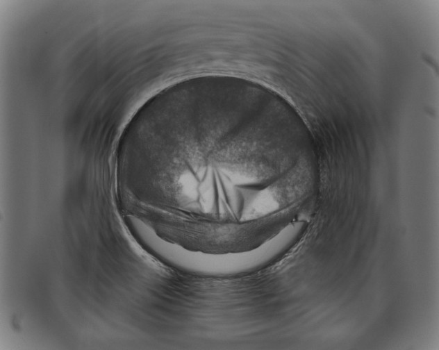 X0000097751515200804041051