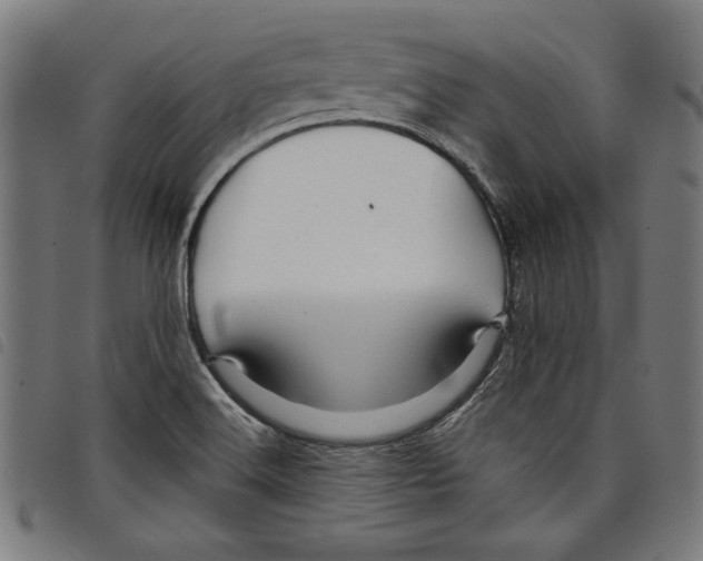 X0000097751516200804041051