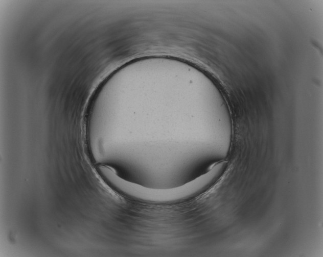 X0000097751517200804041051