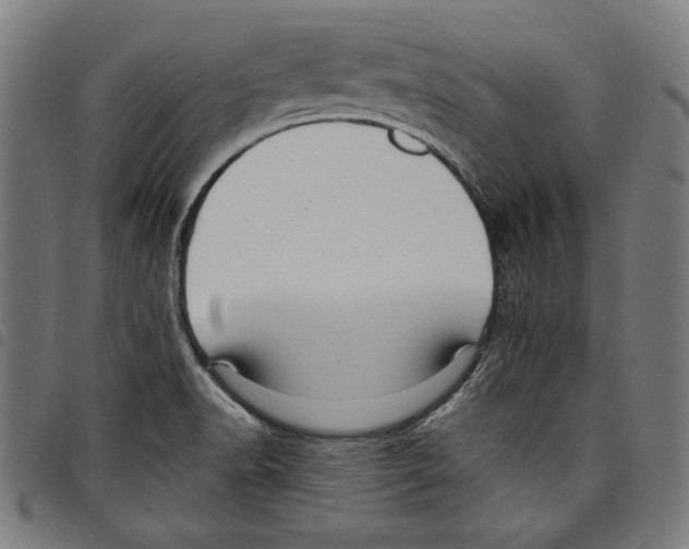 X0000097751518200804041051