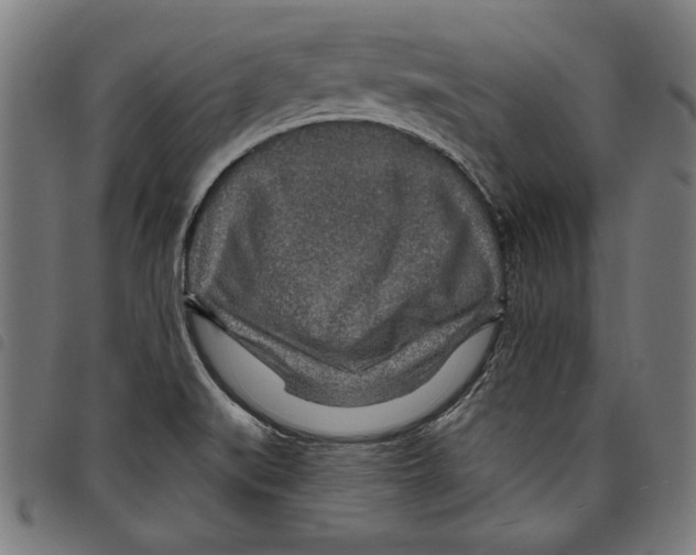 X0000097751519200804041051