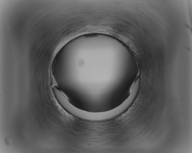 X0000097751520200804041051