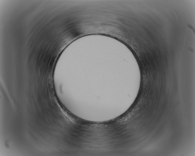 X0000097751521200804041051