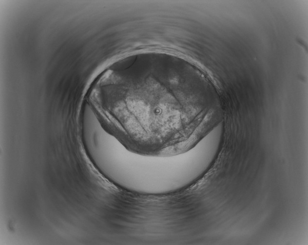 X0000097751522200804041051