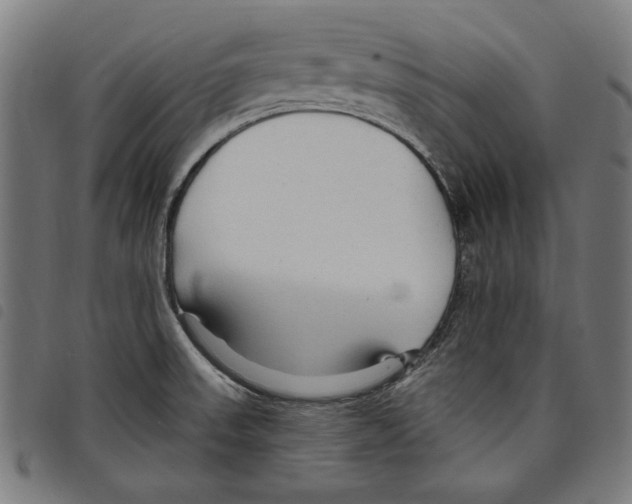 X0000097751523200804041051